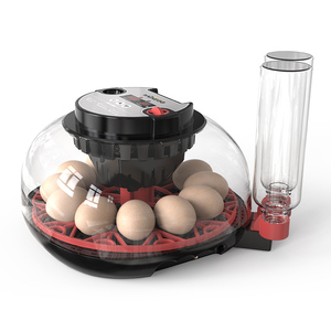 Incubadora de Huevos Inteligente con Volteo Automático, Probador LED, Pantalla Digital de Humedad <span class=keywords><strong>para</strong></span> Huevos de Aves, Gansos y Patos - Product Image 6