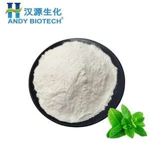 Wholesale Prices Stevia Leaf 98% Steviosides Glycocydes Extract Powder Sweetener