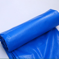 120g Largeur: 6m, 8m, 10m, Rouleau de bâche PE imperméable solide Bâche enduite de HDPE