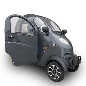 Venta Especial 2023: Auto Chino Pequeño de 800W, 4 Ruedas y 2 Plazas para Adultos - Product Image 4