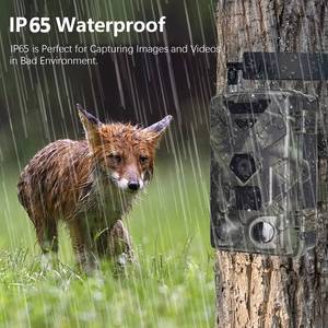 Caméra de surveillance 4G extérieure pour la <span class=keywords><strong>chasse</strong></span>, vision nocturne infrarouge HD 4K/120MP, observation de la faune, anti-vol, visualisation en temps réel - Product Image 5
