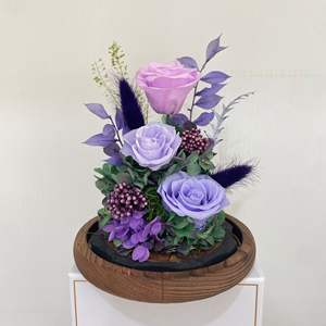 Rose éternelle classique <span class=keywords><strong>Rosa</strong></span> <span class=keywords><strong>Bella</strong></span> E Bestia, La Belle et la Bête sous cloche en verre, cadeau de la Saint-Valentin - Product Image 5