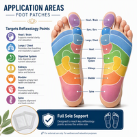 Patchs de Soin des Pieds aux Herbes Traditionnelles de Pékin (OEM/ODM) – 60 Pièces/Boîte – Autocollants Détoxifiants et Relaxants à l'Armoise pour le Corps – Prix de Gros