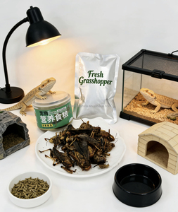 โรงงานขายส่ง OEM ตั๊กแตนสด อาหารเสริมสำหรับสัตว์เลี้ยง เหมาะสำหรับปลา <span class=keywords><strong>นก</strong></span> ไก่ เต่า และสัตว์เลื้อยคลานอื่นๆ - Product Image 6