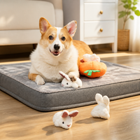 Jouet en peluche pour chiens, lapins et carottes, couineur, personnalisé, pour jeu interactif, vente en gros