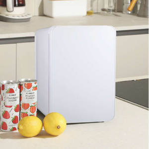 <span class=keywords><strong>Mini</strong></span> réfrigérateur portable silencieux de 10 L, pour la beauté, les soins de la peau, le lait maternel, en ABS et verre, 110 V, 220 V, 12 V, AC/DC, pour les boissons, le lait, la voiture, l'usage domestique - Product Image 6