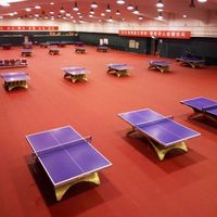 Revêtement de sol sportif en PVC à prix réduit pour intérieur et extérieur, structure de coussinage bioc Mécanique avancée, base résiliente