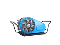 Machine de récupération d'hélium à prix compétitif, de haute qualité et durable, utilisée pour la récupération d'hélium provenant des ballons à l'hélium