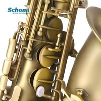 Eb Alto Saxophone Bronze/Gold-Plated Brass Body Hand-Engraved Details Bakelite Head for School Professional Performances