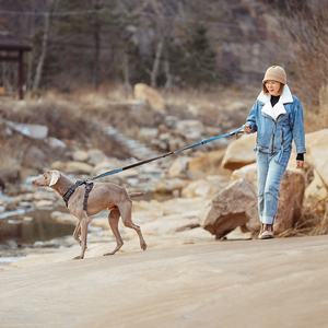 Freihändige Hundeleine mit Verstellbarem Geschirr Bungee-Leine Doppelgriff zum Spazierengehen Einziehbar Anpassbares Logo Verstellbar - Product Image 5