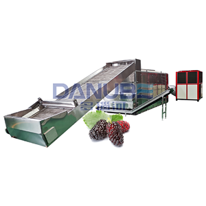 Séchoir à bande continue à mailles fines, écoénergétique et haute performance, pour le traitement des mûres - Product Image 1