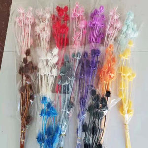 Eryngbras — 15 Branches de couleurs plastique, vente en gros, 15 têtes différentes, couleur blanche et noire - Product Image 6