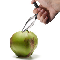 Spatule portable en acier inoxydable pour le perçage de noix de coco Couteau à noix de coco pour accessoires de cuisine