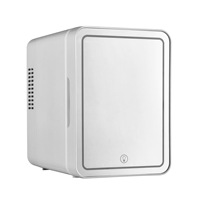 Mini-réfrigérateur pratique en plastique thermoélectrique portable double usage voiture et maison, économie d'énergie, réduction du bruit, 4L, 12V/220V