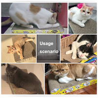 Jouet pour animaux de compagnie en carton et papier durable pour nid de chat et lit