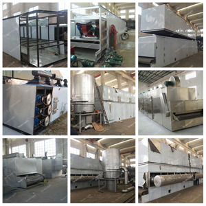 Attrezzatura automatica per l'essiccazione del coriandolo al <span class=keywords><strong>dragoncello</strong></span> alla camomilla Verbena al limone macchina per la cintura a maglie di foglie di erbe e gelsomino - Product Image 6