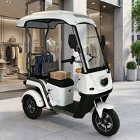 Tricycle électrique double moteur PMSM avec toit, scooter de mobilité à 3 roues, suspension en aluminium, frein à disque, trike de loisirs pour usage commercial