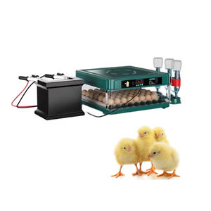 Incubateurs à œufs de volaille à prix avantageux à vendre en Irak - Product Image 6