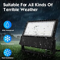 Projecteur LED avec garantie de 7 ans, 300 W, EMC ETL SAA CE CB, 150 lm/W, 45 000 lm, Ra>80, angle de faisceau 80*150, type 3, module anti-éclairs 10 KV