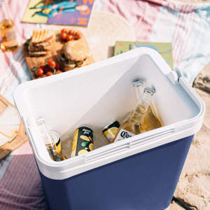 Frigo Portatile Campos per Campeggio e Spiaggia - Verde 24L - Product Image 1