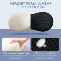 Oreiller lombaire ergonomique en mousse à mémoire de forme pour soulager les douleurs dorsales Coussin lombaire pour chaises de bureau Sièges d'auto