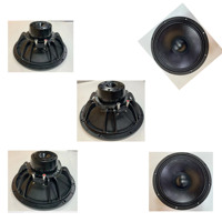 Haut-parleur audio professionnel en néodyme, 12 pouces, 75 mm