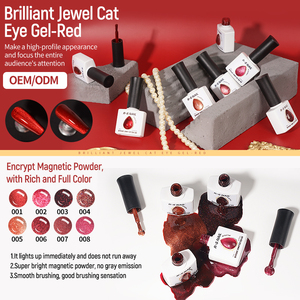 Vernis à ongles gel œil de chat professionnel R S Nail 10 ml, logo personnalisé OEM, sans HEMA, inodore, non toxique, vernis à ongles gel UV, tenue de 3 à 4 semaines - Product Image 3