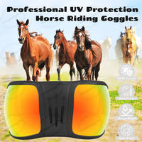 Professional Equestrians Horse Riding Goggles UV Protection Horse Racing Goggle for Equine Sports