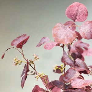 Trong Nhà Trang Trí Nội Thất Giả Bạc Đô La Cây Nhân Tạo 180 Cm Lụa Tiền Cây Bạch Đàn Với Nồi - Product Image 3