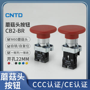 Interrupteur à bouton-poussoir électrique CNTD Changde CB2-BR42 avec voyant lumineux, autobloquant/auto-réinitialisant, 3A max. Courant 12V Max. - Product Image 6