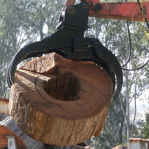 Lâm nghiệp máy móc 0.28 đu gỗ <span class=keywords><strong>log</strong></span> <span class=keywords><strong>Grabber</strong></span> lấy gỗ xoay vật lộn cho xe tải <span class=keywords><strong>loader</strong></span> logger - Product Image 1