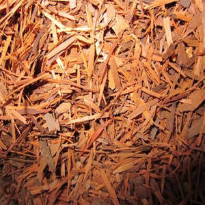 Polvo de olmo resbaladizo Natural de alta calidad certificado GMP, extracto de hierbas de grado alimenticio, Ulmus Pumila, corteza líquida, tambor certificado Halal - Product Image 6