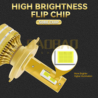 BAOBAO BB2190 Super brillante 150W 350W 50000lm CANbus H1 H3 H4 H7 H11 9005 4300K Bombilla LED faro para coche blanco cálido