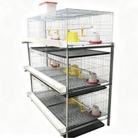 Conception de Ferme Avicole pour Poussins d'un Jour, Cage d'Élevage de Poulets de Chair