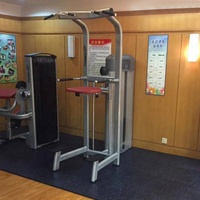 Machine de musculation professionnelle à charge guidée pour dips, tractions assistées et tractions verticales pour la musculation