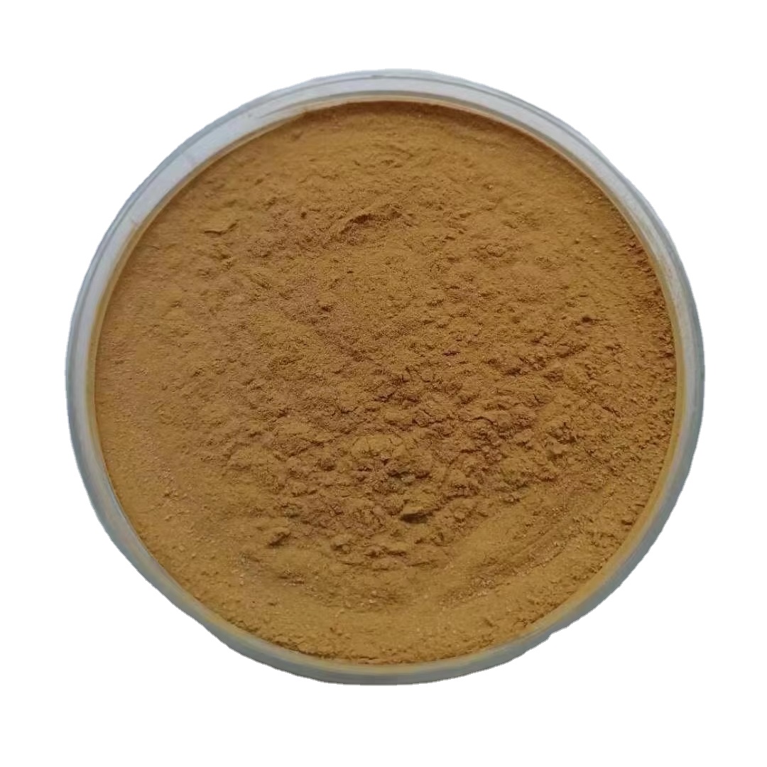 Поставка высококачественного экстракта 10:1 Polygonum Cuspidatum в порошке