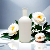Bouteilles en verre vides prêtes à l'emploi, bouteilles en verre personnalisées pour spiritueux, emballage haut de gamme pour liqueurs, achat en gros