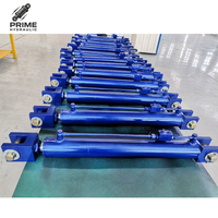 Vanne de retenue double à commande pilotée zinguée G3/8" 250 bars pour maintien de charge de vérin de camion benne