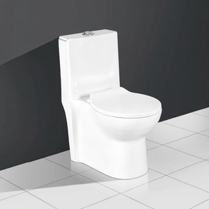 WC monobloc en céramique de qualité supérieure avec siphon P&S, émaillé blanc, avec accessoires, chasse d'eau par siphon et couvercle de siège, fabrication indienne - Product Image 1