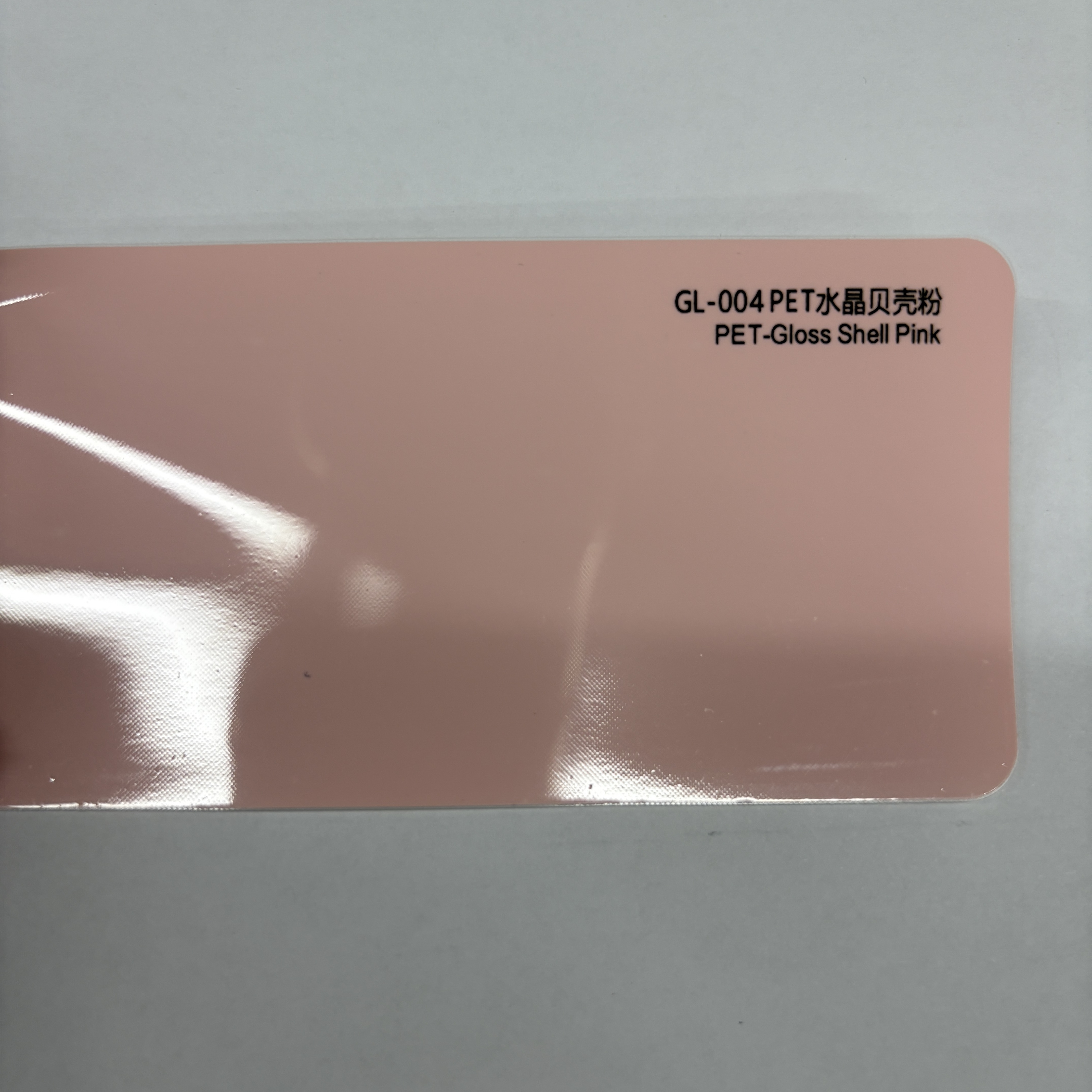PET-Gloss Shell Rose