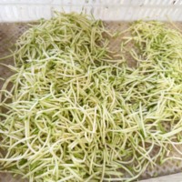 Industriële commerciële aardappelchips snijmachine, professionele automatische chips snijmachine