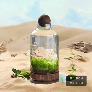 Terrarium en verre de jardinière moderne de simplicité de table ronde DIY avec <span class=keywords><strong>vase</strong></span> en verre <span class=keywords><strong>transparent</strong></span> de mariage en bois - Product Image 6