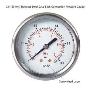 Fabriek Directe Verkoop Goede Prijs Goedkope Medische Stoomketel Drukmeter/Stoomdrukmeter 0,25 Mpa - Product Image 6