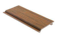 Panneau mural extérieur décoratif, design résistant aux UV, revêtement mural en WPC co-extrudé 157x21mm
