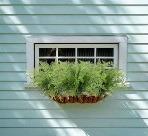 Plantes artificielles Boston Fern <span class=keywords><strong>de</strong></span> 19 ", 2 pièces, fausses plantes, pour maison, jardin, bureau, ferme d'intérieur - Product Image 5