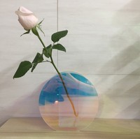 Vase moderne en acrylique transparent pour la décoration intérieure, pour les arrangements floraux dans le salon et la décoration de la véranda avec des fleurs séchées