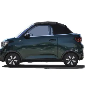 WULING MINIEV Roadster açık üst elektrikli araç iki kişi spor araba moda tasarım hareketlilik scooter yaşamak