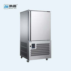 Refrigerador Eléctrico de 30 Niveles para Carne, Congelador de Una Puerta, Enfriador - Product Image 5