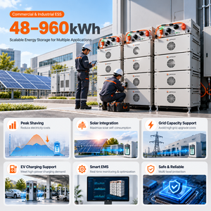Sistema de Almacenamiento de Energía Comercial de Alto Voltaje con Batería de Litio de 204.8V 256V 384V 614V 768V 819.2V 50Kwh 100Kwh 200Kwh - Product Image 5