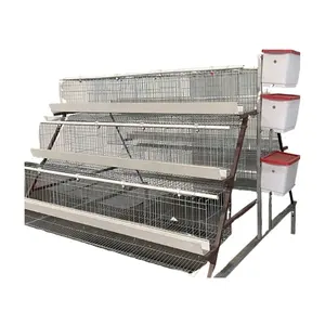 Cage d'élevage de poulets/cage de poule pondeuse/cage de poulet à vendre